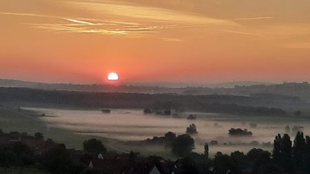IMG-20230918-WA0174